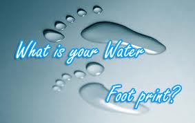 Water Footprint 1